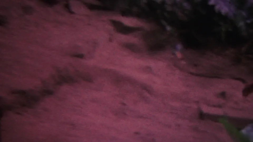1962 Hawaii 8mm frame showing motion-blurred reddish substrate, small dark rock shapes, and a pale object near the bottom edge of an aquarium-like scene.