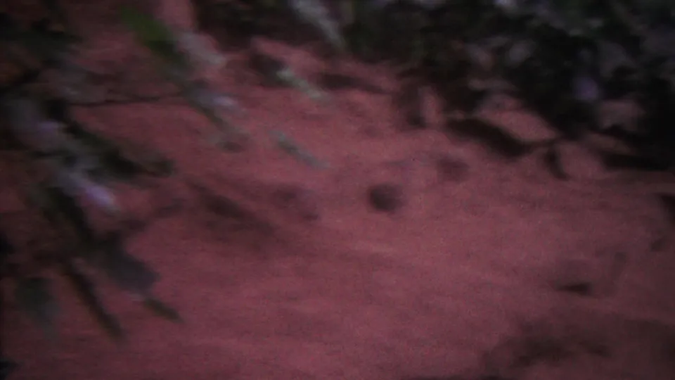 1962 Hawaii 8mm frame showing a reddish-pink aquarium or underwater bottom, scattered rocks, dark plant matter, and soft magenta-green film color shift.