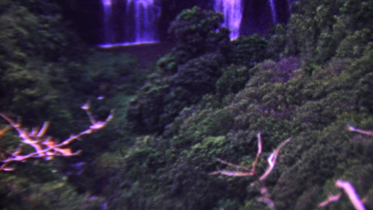 1962 Hawaii 8mm frame looking through dense tropical foliage and pale branches toward a distant purple-tinted waterfall.