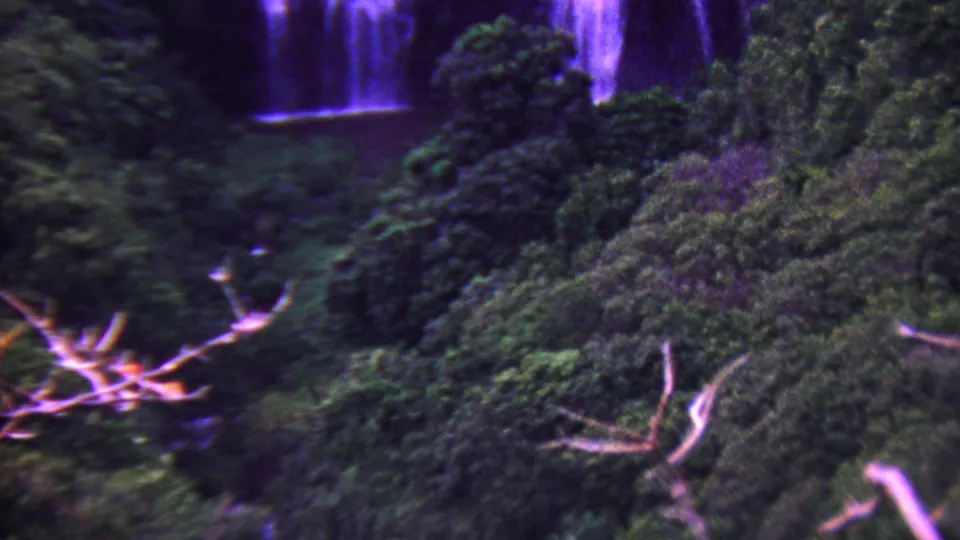 1962 Hawaii 8mm frame looking through dense tropical foliage and pale branches toward a distant purple-tinted waterfall.
