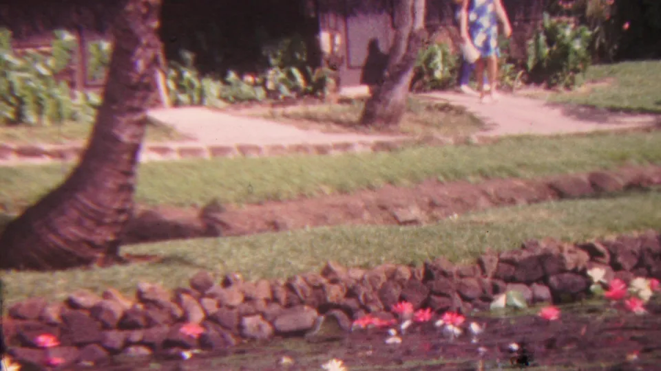 1962 Hawaii 8mm frame of a resort-like garden pond bordered by stones, with water lilies in the foreground, palms, lawn, and a paved path in the background.