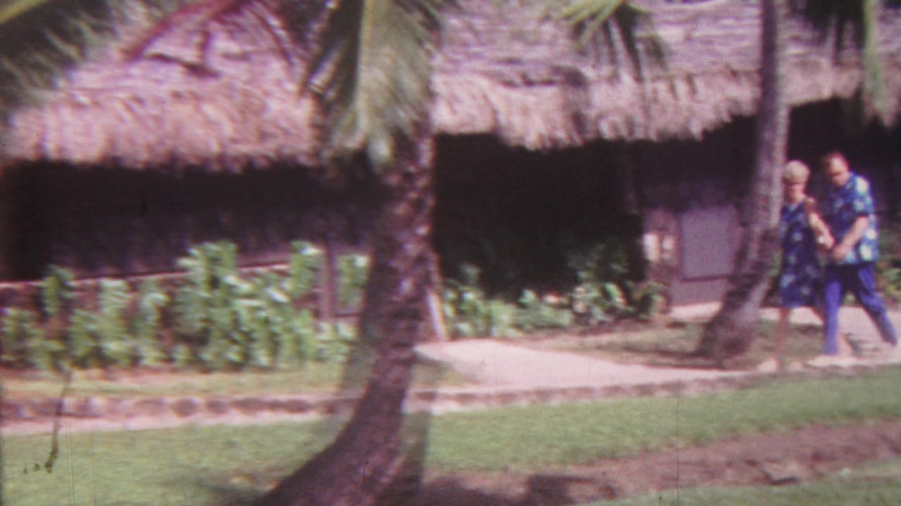 The couple appears near the center of a tropical walkway scene, with palm trunks, low landscaping, lawn, and a shaded thatched-roof building behind them.