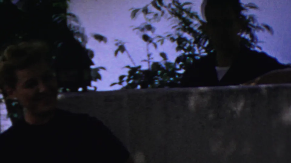 The frame shows the woman partly cut off at the lower edge while a shadowed man in dark clothing stands behind the low wall, with branches and a bright background visible.