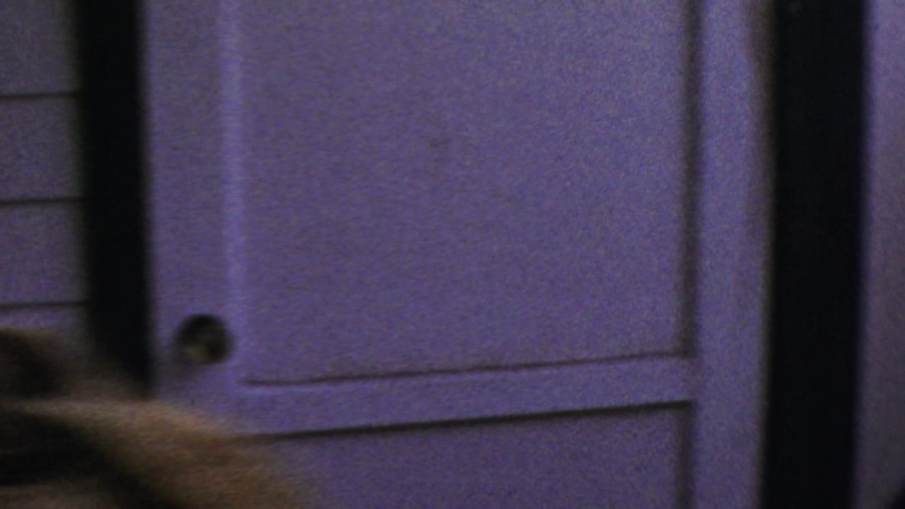 A handheld home-movie frame shows an interior door and wall as a blurred person crosses the foreground near the end of the Columbus gathering clip.