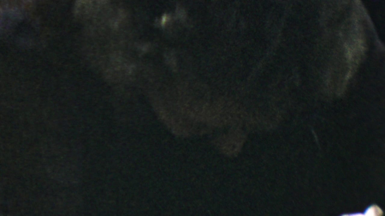 Older woman wearing glasses, a pearl necklace, and a dark sweater appears in a dim 1954 Columbus, Ohio 8mm home-movie close-up.