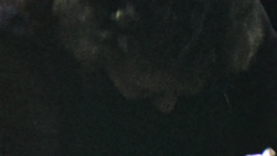 Older woman wearing glasses, a pearl necklace, and a dark sweater appears in a dim 1954 Columbus, Ohio 8mm home-movie close-up.