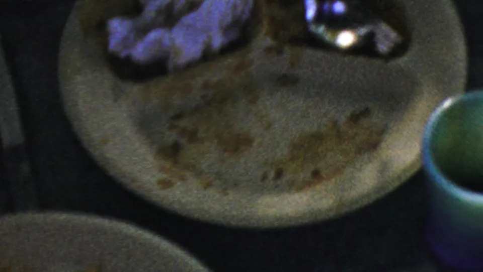 A close view shows a used plate with food remnants, a utensil, another plate edge, and a cup or bowl on a dark surface after the meal.