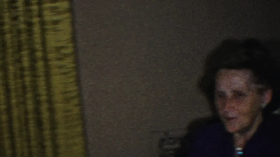 The elderly woman appears seated at the right side of the frame in the dim Seaside, New Jersey interior, with green curtains and a wall plate behind her.