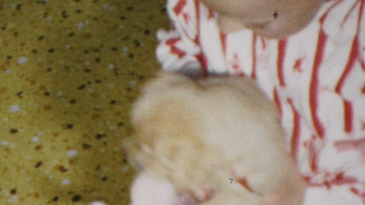 The child in striped pajamas leans toward the small pale puppy, which is partly blurred by motion and soft focus in the close indoor frame.