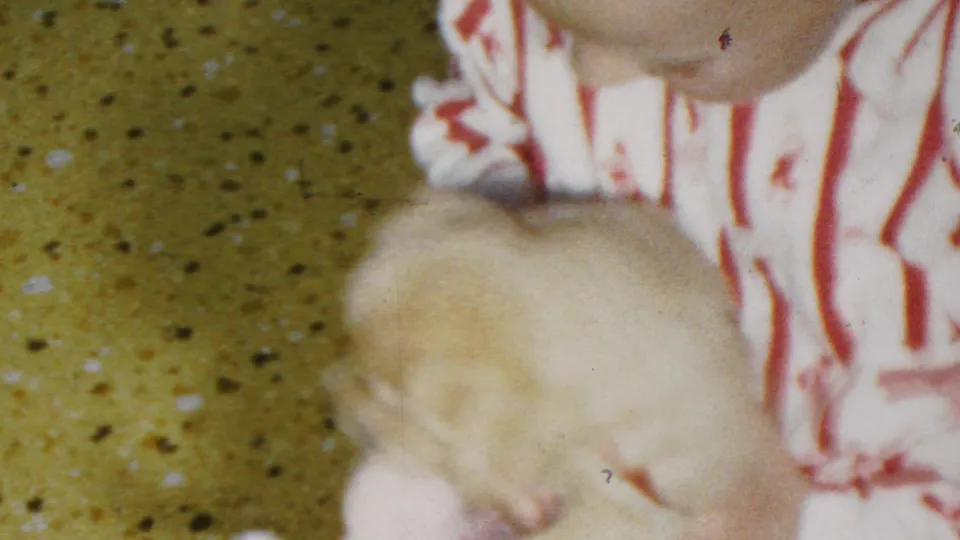 The child in striped pajamas leans toward the small pale puppy, which is partly blurred by motion and soft focus in the close indoor frame.