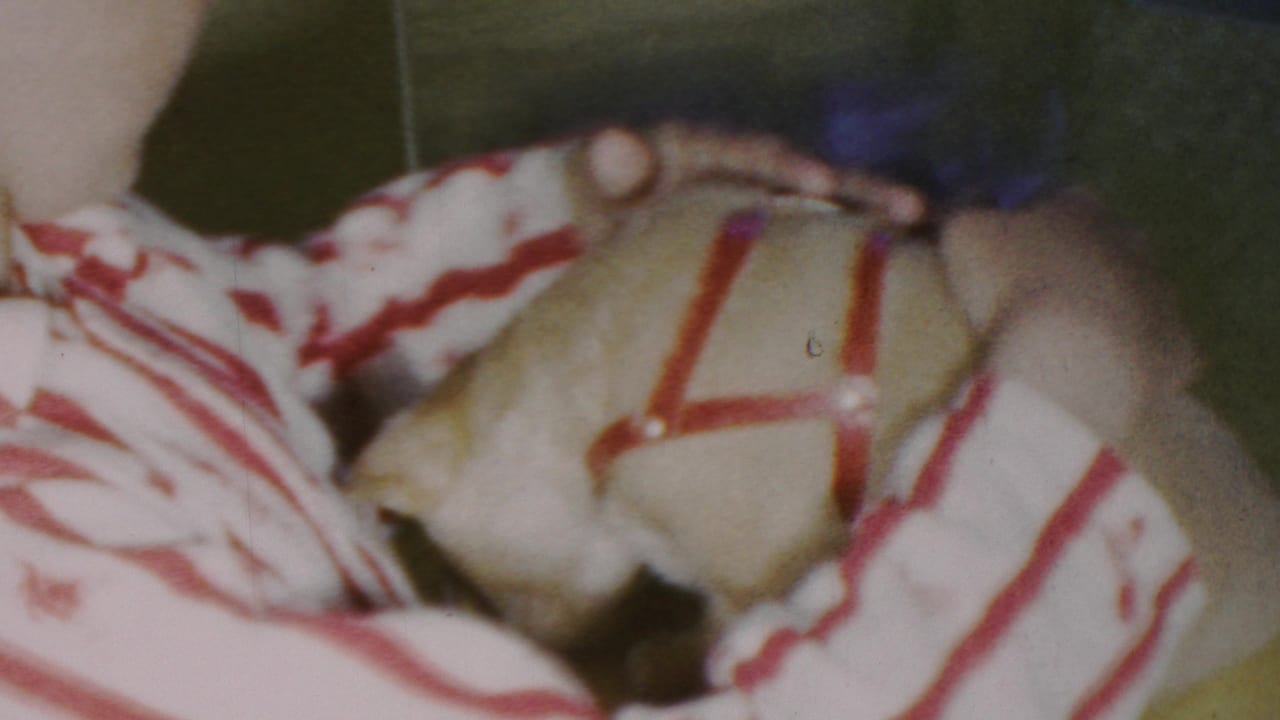 The small light-colored puppy, wearing a red harness or strap, is held against the striped shirt as hands steady its body in the 1949 home-movie frame.