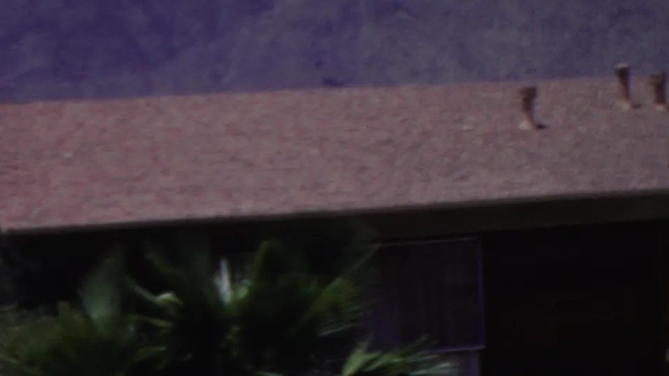 A 1949 home-movie frame showing a broad shingled roof with small vents, palm fronds at the lower edge, and hazy purple mountains beyond.