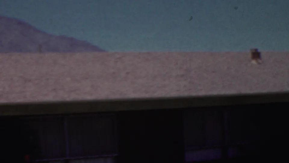 1949 Seaside, New Jersey 8mm frame with palm fronds in the foreground, a pool edge, dark house windows, and a low roofline against hazy hills.