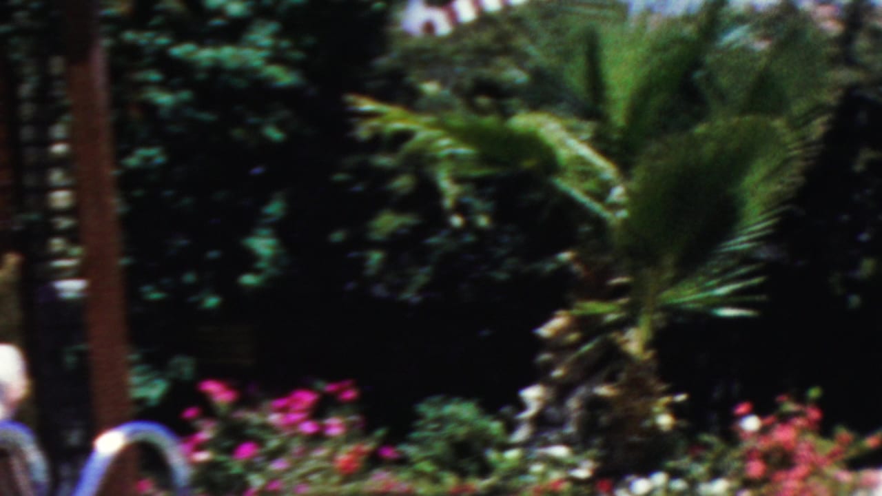 Garden patio with lush foliage, pink flowers, a small palm-like plant, and lounge furniture.