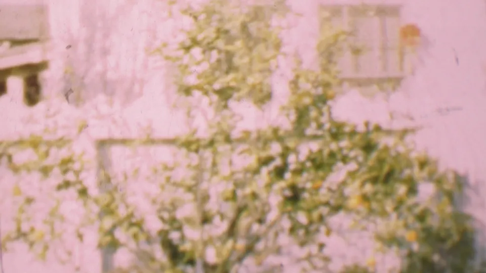 1955 San Diego home-movie frame showing dense garden foliage, a pale exterior wall, and a partially visible shuttered window.