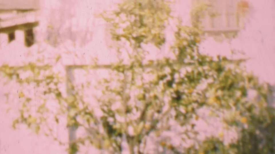 Faded 1955 8mm frame from San Diego showing leafy vines and shrubs covering part of a white residential exterior with windows visible behind them.
