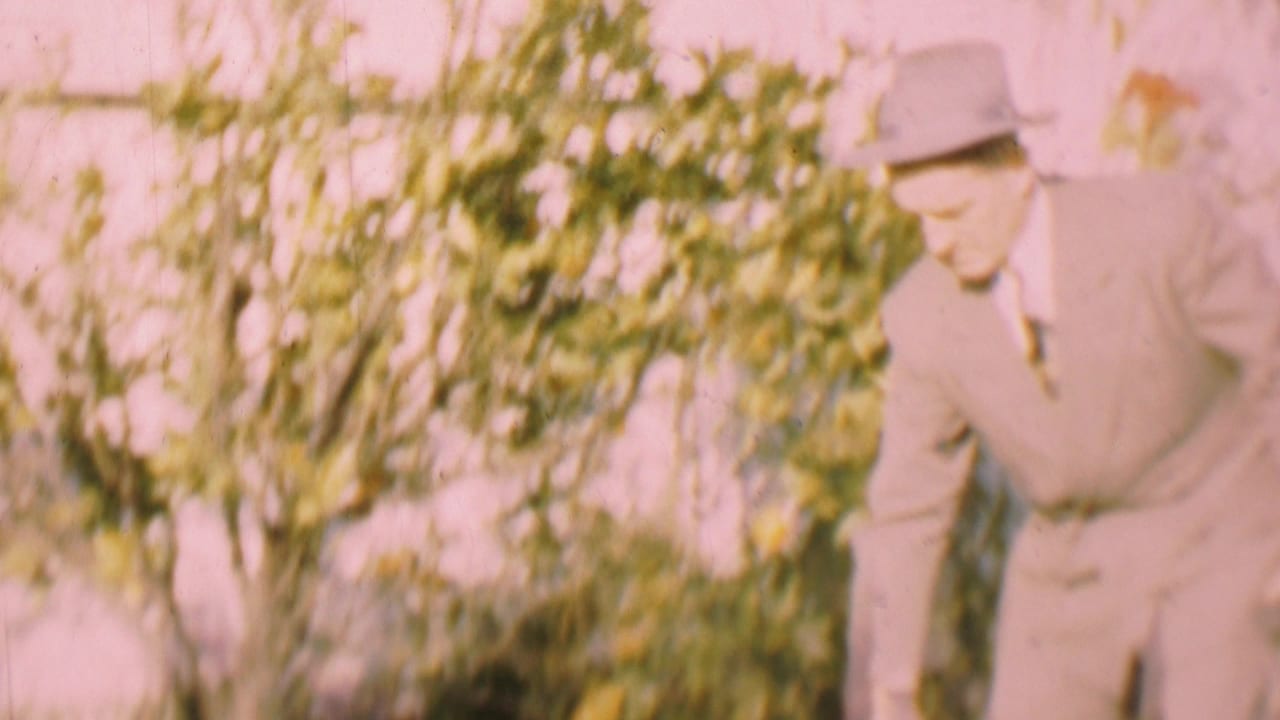 In supported 1955 San Diego home-movie footage, a man in a light suit and fedora leans toward leafy flowering shrubs beside a pale wall.