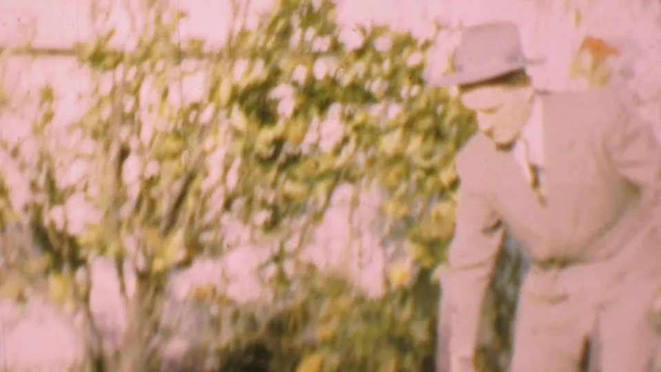In supported 1955 San Diego home-movie footage, a man in a light suit and fedora leans toward leafy flowering shrubs beside a pale wall.