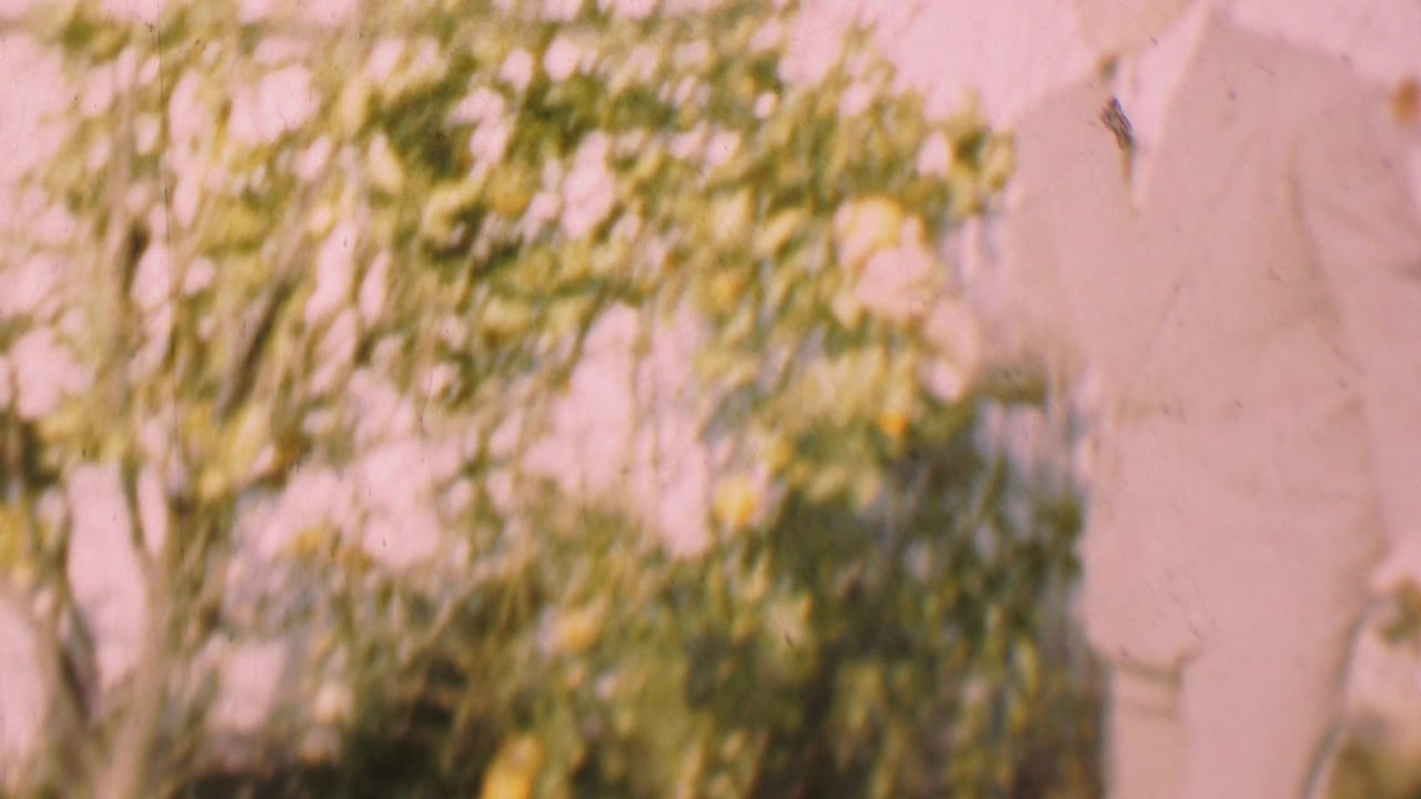 A partial suited figure stands at the edge of a bright garden frame with bushes and a wall.