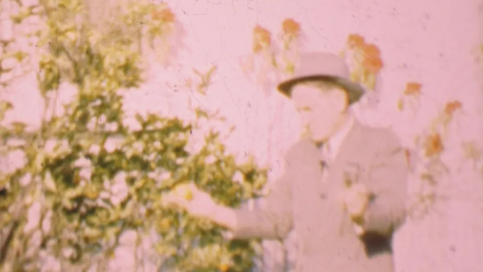 The suited man in a fedora gestures or reaches outward near flowering shrubs in the sunlit 1955 San Diego garden footage.