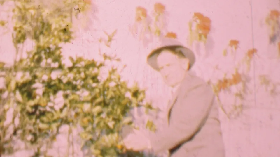 A man in a light suit, tie, and fedora stands near dense garden foliage and a pale wall in supported 1955 San Diego home-movie footage.