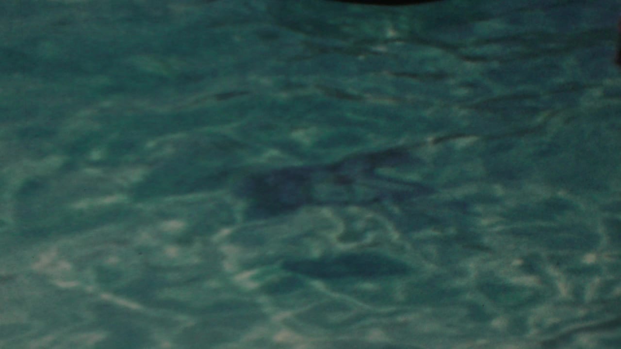 Soft 1949 Seaside, New Jersey home-movie frame showing rippling turquoise water with a faint swimmer shape partly below the surface.