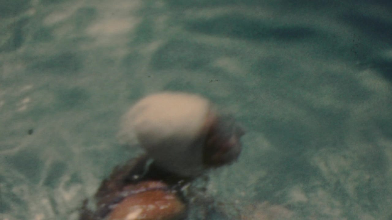 A swimmer wearing a light swim cap and dark swimwear moves through turquoise water in the 1949 Seaside, New Jersey footage.