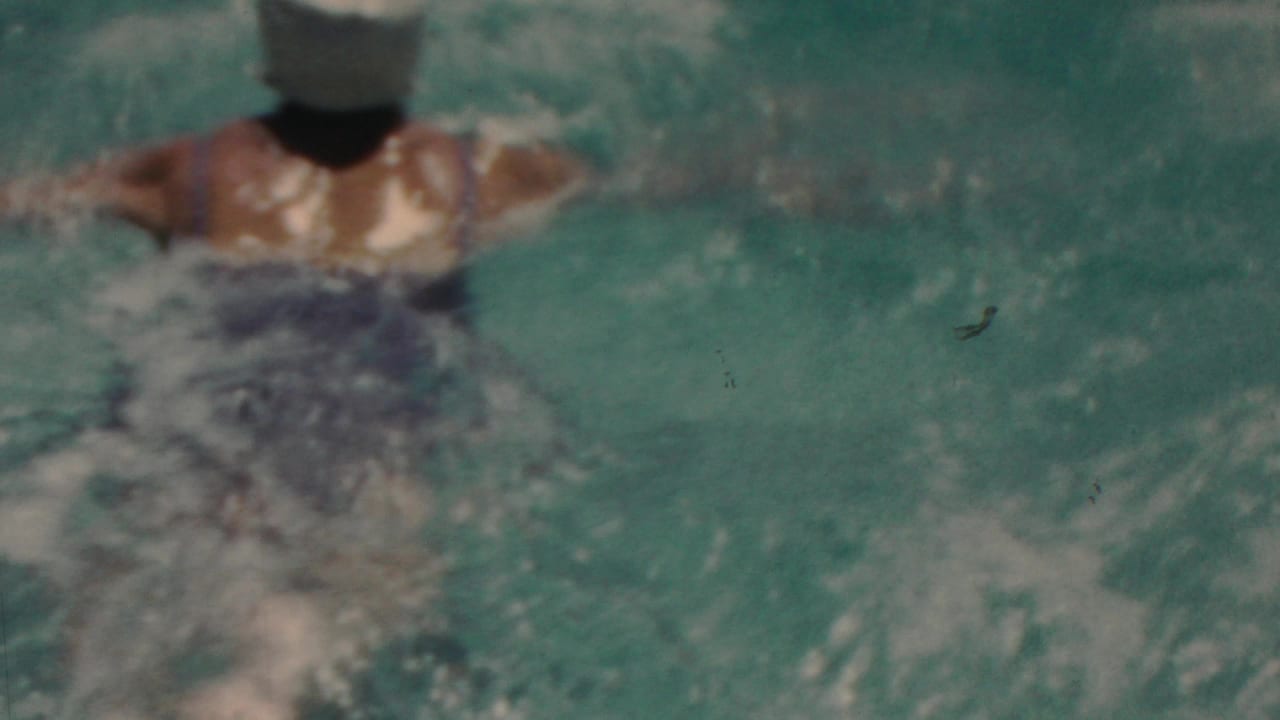 Rear view of the swimmer in a light cap and dark swimsuit pushing through turquoise water in a brief 1949 Seaside, New Jersey home-movie shot.