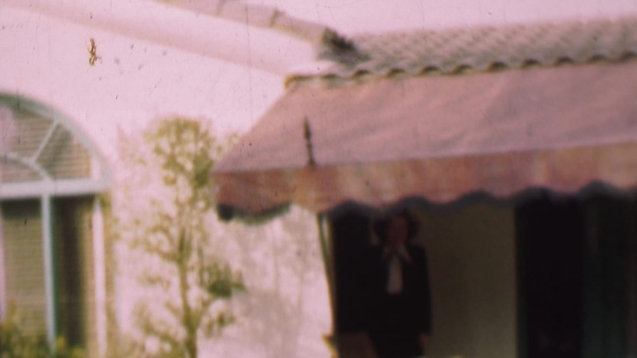 In this 1955 San Diego home-movie frame, a woman in a dark outfit and white blouse is partly visible beneath a scalloped awning at a residential doorway.