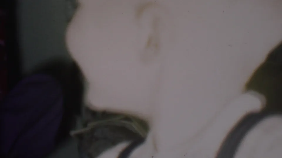 Soft, overexposed frame from the supplied 1956 Phoenix home movie showing a pale close-up form, dark green leaves, and a curved dark edge at the lower right.