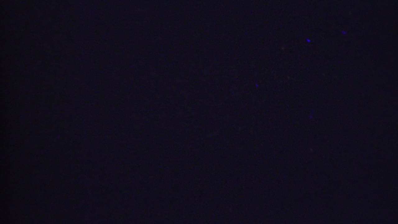 Nearly black frame with faint blue specks and minimal interior detail.