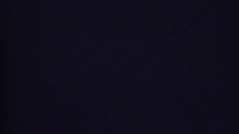 Near-black 8mm frame from the 1956 Phoenix home movie, showing faint blue-white specks and little readable household detail.