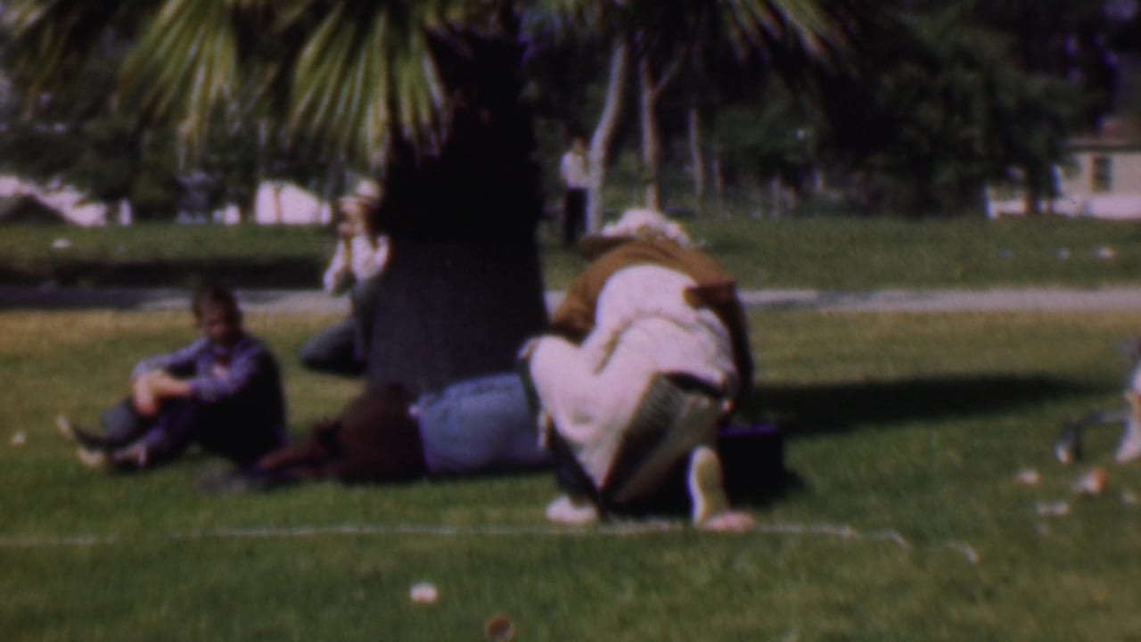 1956 Dallas 8mm frame showing adults on a park lawn beneath palm trees, with one person crouched near a suitcase or bundle while others sit nearby.