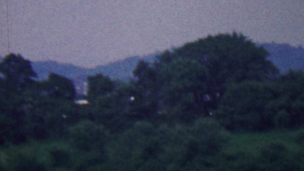 1961 Covington, Kentucky 8mm frame showing a soft tree line, dense green foreground growth, and distant low hills beneath an overcast-looking sky.