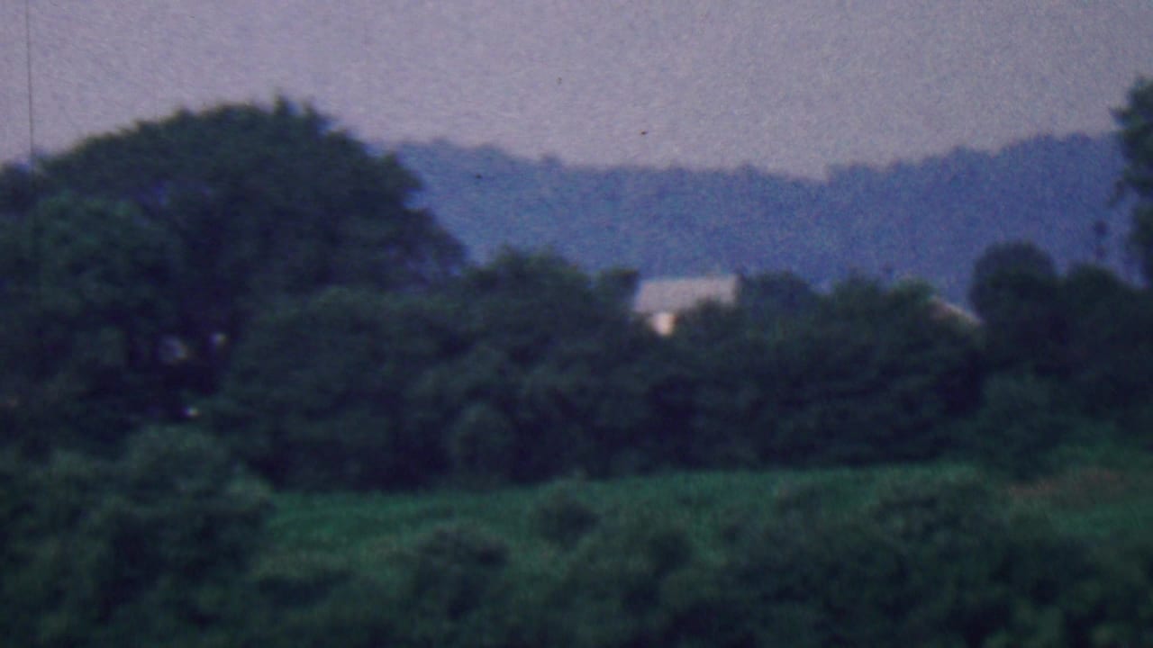 Large trees and distant hills seen across green vegetation.
