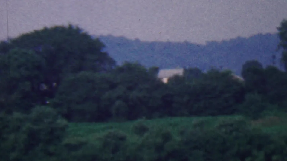 1961 Covington, Kentucky home-movie frame with large dark trees, a layered green foreground, and hazy hills in the distance.