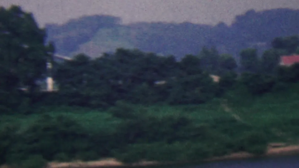 1961 Covington, Kentucky home-movie frame showing thick green vegetation, distant trees, low hills, and small pale structures partly obscured by foliage.