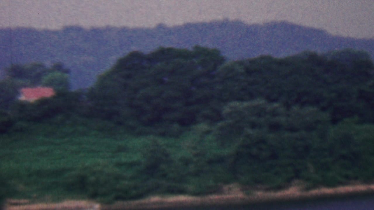 Tree-covered shoreline with two red-roofed structures below hazy hills.