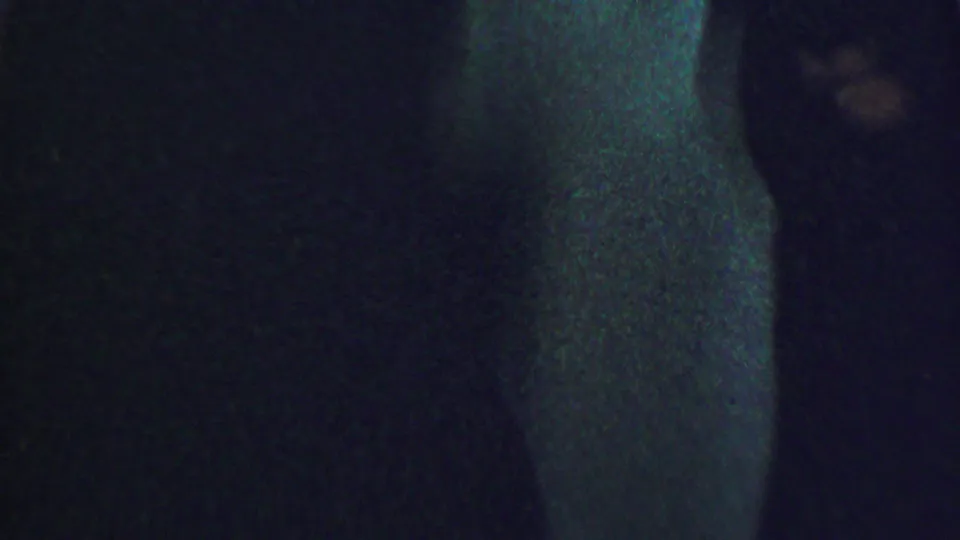 Low-light 1956 Dallas home-movie frame showing a dark green interior wall, shadowed foreground, and indistinct movement at the edge of the room.