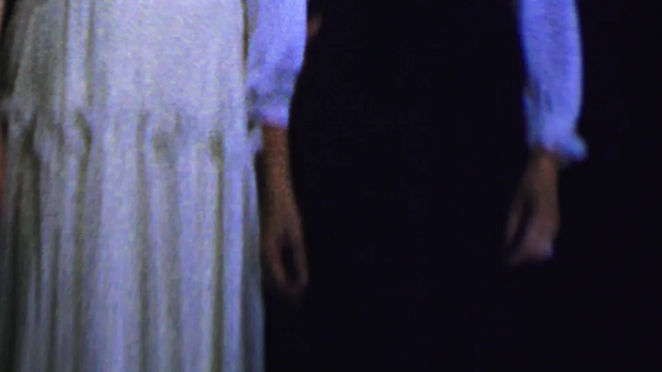 This cropped home-movie frame from the 1956 Dallas gathering shows the lower portions of two adult women standing side by side in a pale dress and a dark dress.