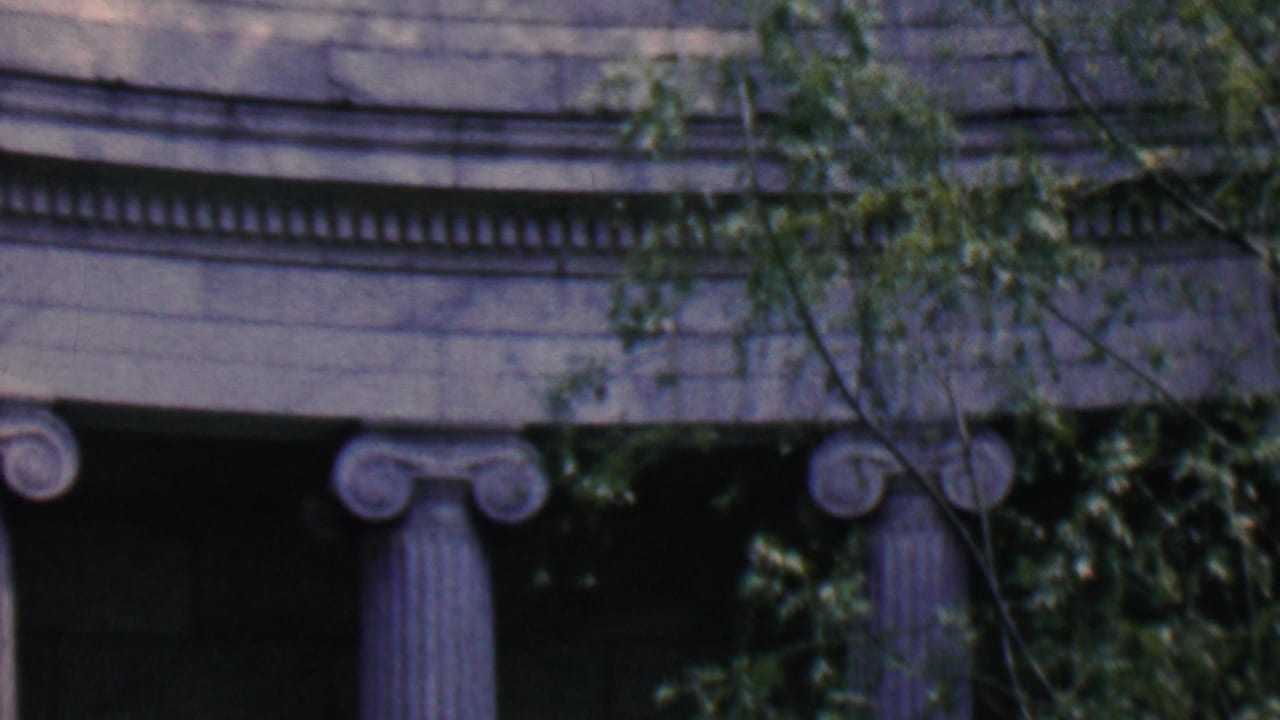 Classical columns and tree limbs across a curved stone building exterior.