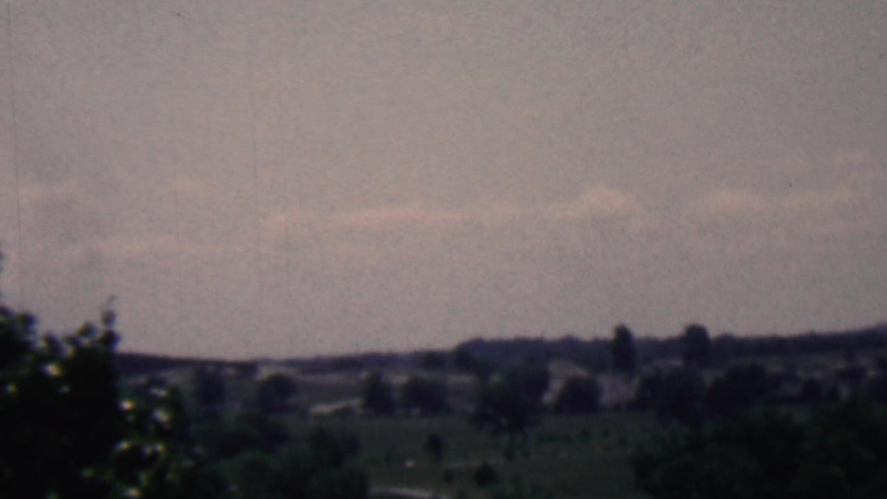 Soft distant landscape with dark trees in the foreground and low hills beyond.