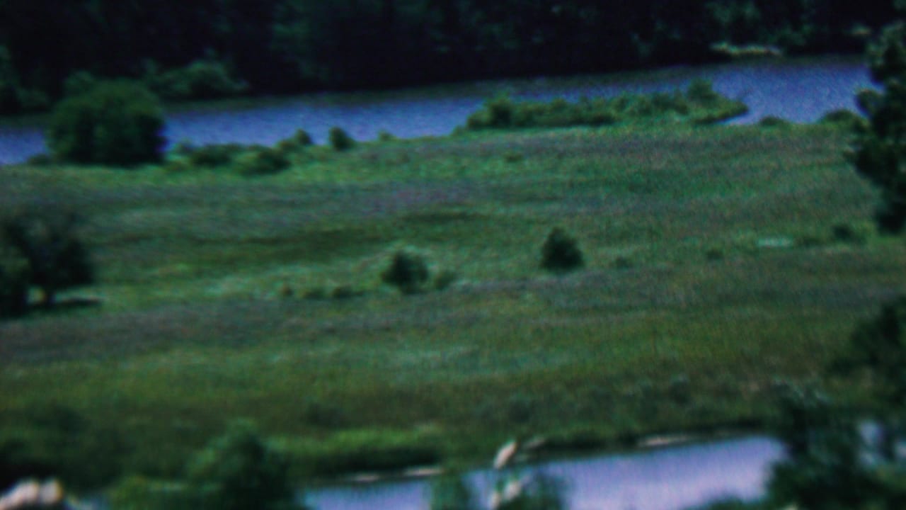 Open green field beside a calm waterway with trees beyond.