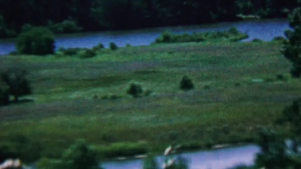 A broad view of open grass, scattered shrubs, and a calm waterway in the Covington, Kentucky park landscape, recorded on 8mm film in 1961.
