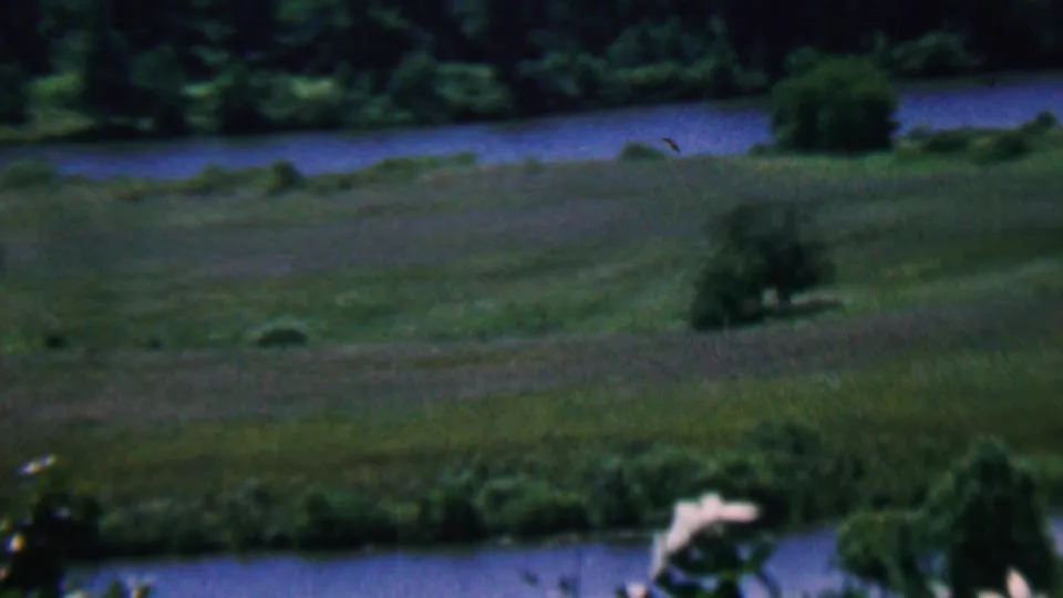 The 1961 home-movie frame shows a green meadow, tree border, and watercourse in a pastoral Covington, Kentucky setting, with visible 8mm color shift and grain.