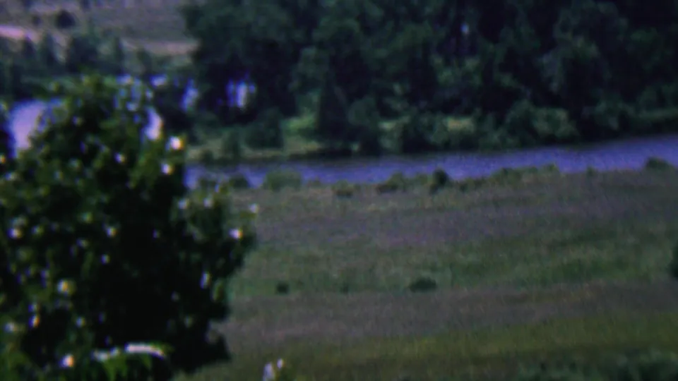 A leafy foreground tree partially frames the 1961 Covington, Kentucky park view, with grassland and water visible behind it in soft 8mm focus.