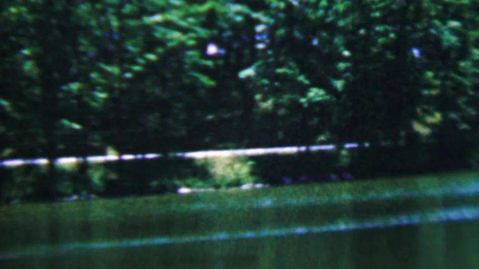 1961 Covington, Kentucky 8mm frame with dense trees, a pale riverside fence or rail, and green water in the foreground.