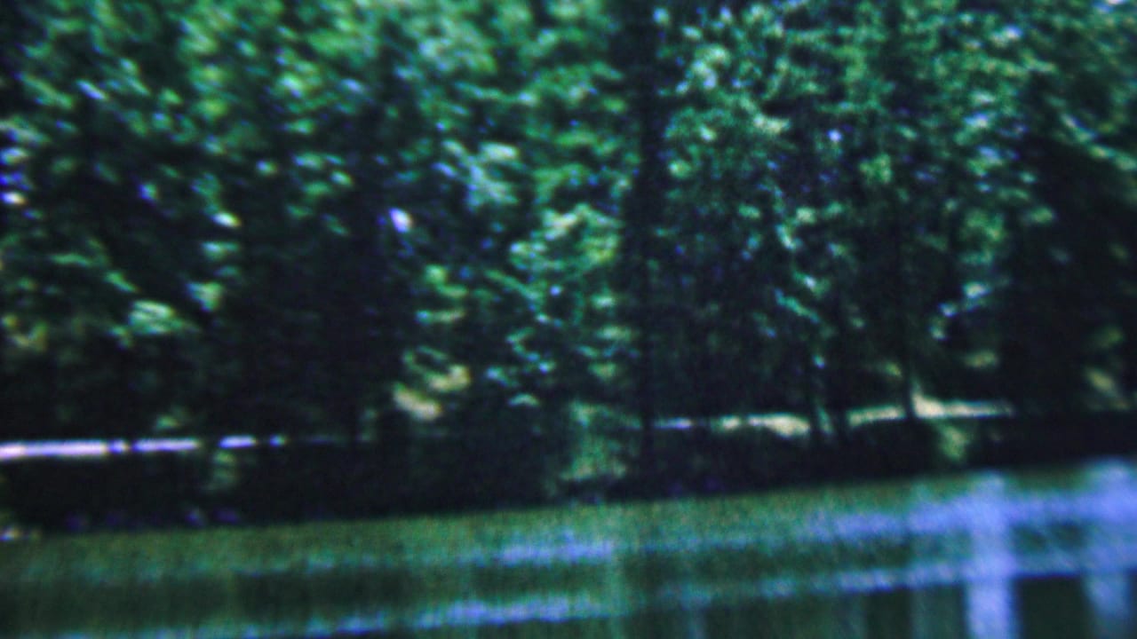 1961 8mm home-movie frame from Covington, Kentucky, showing a quiet pond or lake edge with dense trees, reflected greenery, and soft summer light.