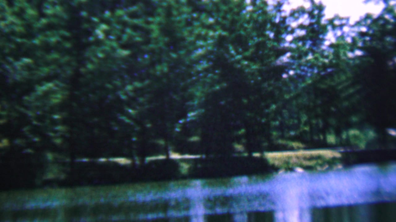 Lake water with trees and a curved grassy shoreline in the background.