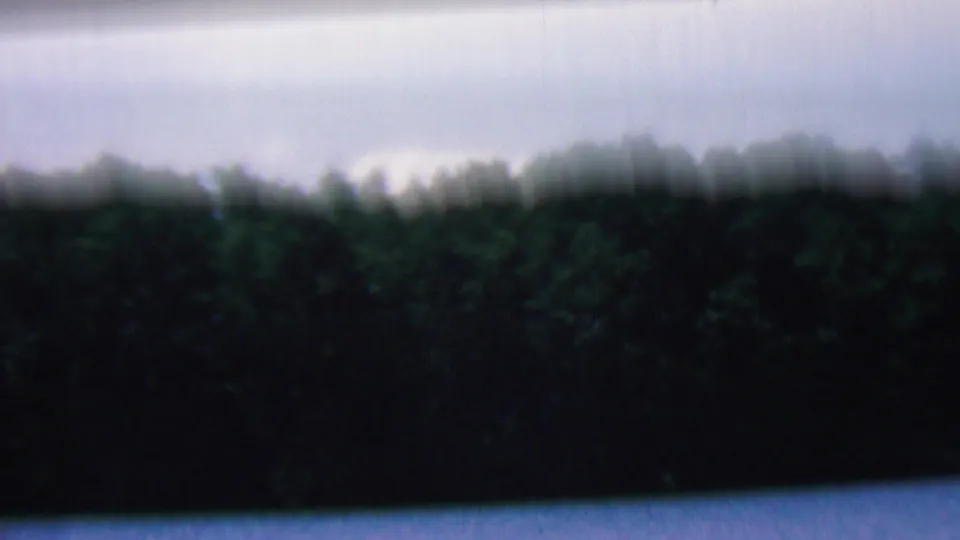 Soft 1961 8mm frame from the Covington, Kentucky lakeside scene, with blurred treetops, bright sky, and water at the lower edge.
